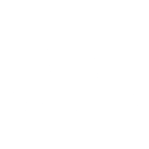 mccormick logo